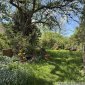 Impressionen Garten 02