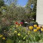 Impressionen Garten 04