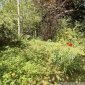 Garten04