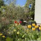 Garten01
