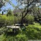 Impressionen Garten 01
